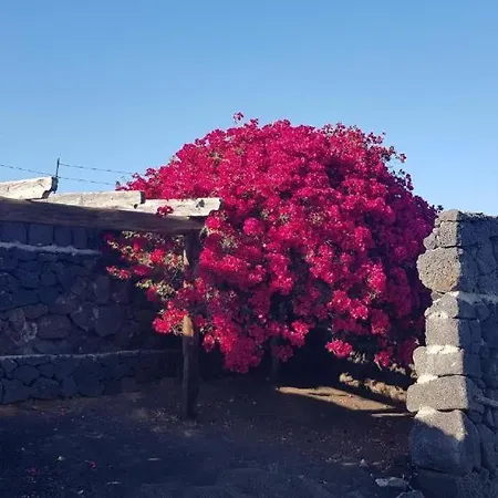 Daire Sunset, Sunset View, Apto De Oasis Vasiliko, La Asomada